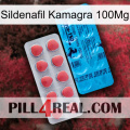 Sildenafil Kamagra 100Mg new14